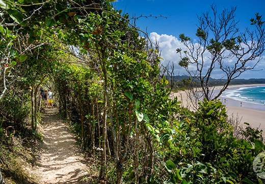 Broken-Head-Walking Track