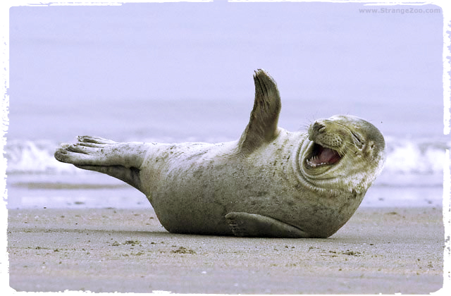 Hello & Welcome to Byron Trails Blog