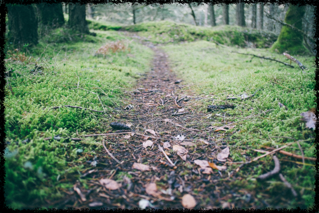 5 reasons why walking is powerful medicine