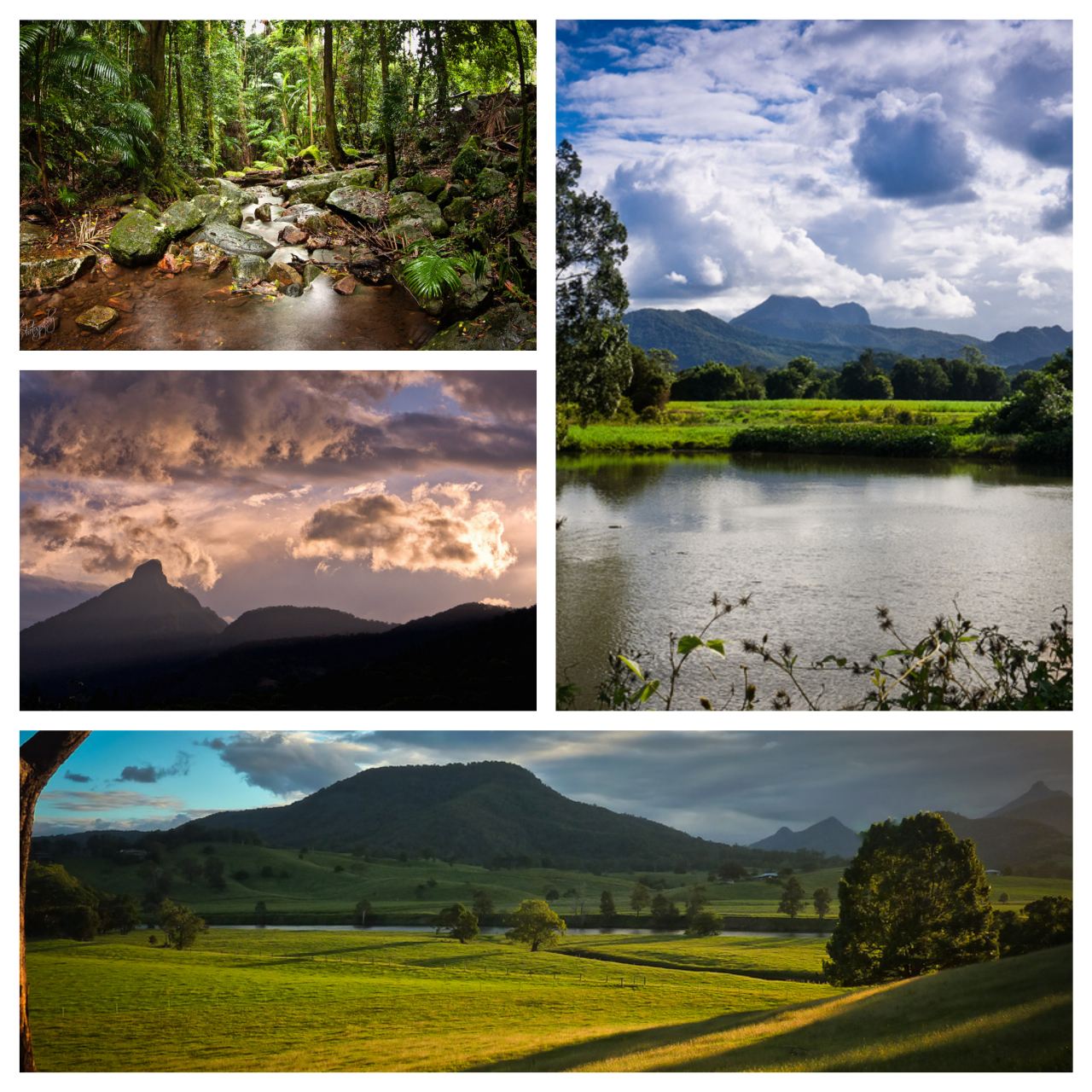 Dave Whiteman Collage