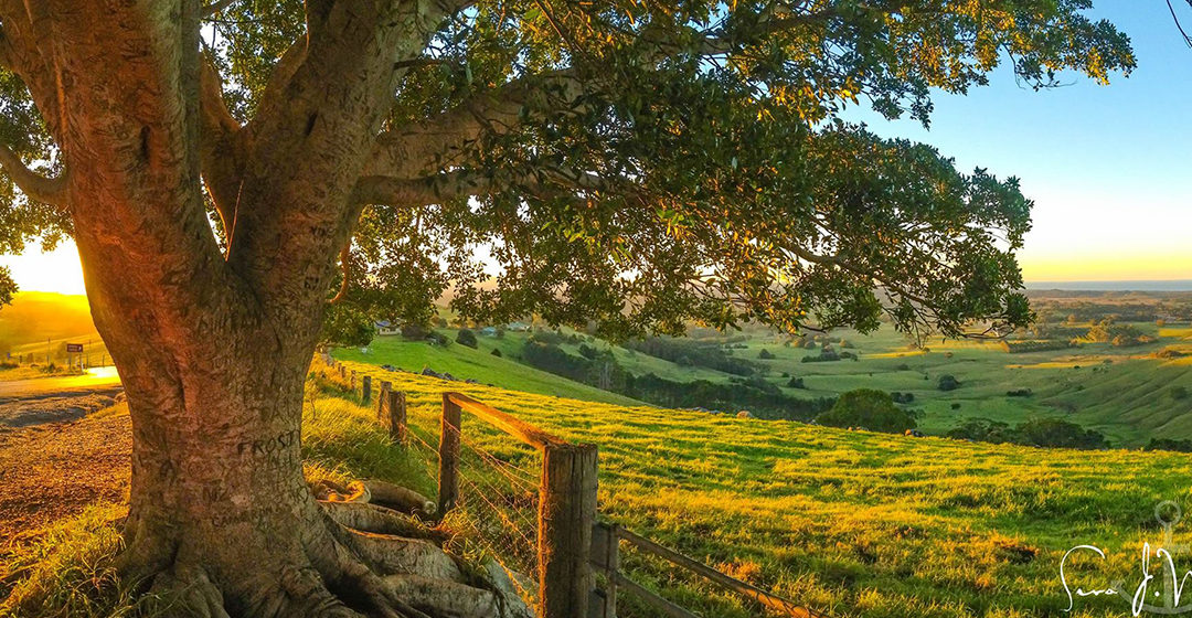 Capturing the Far North Coast