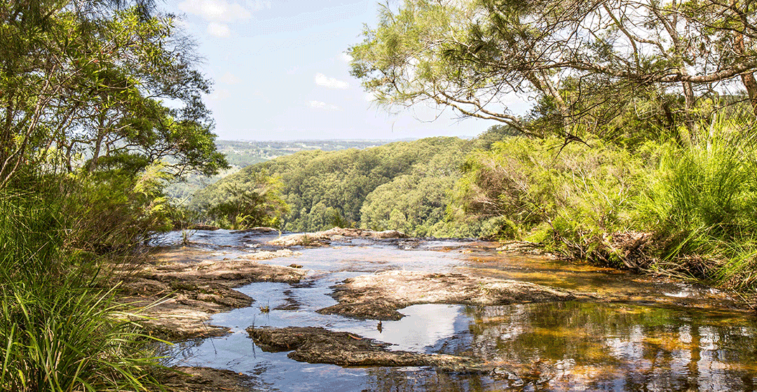 The birth of National Parks in Australia