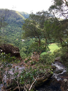 Byron Trails - Eastern Fire Trail 3