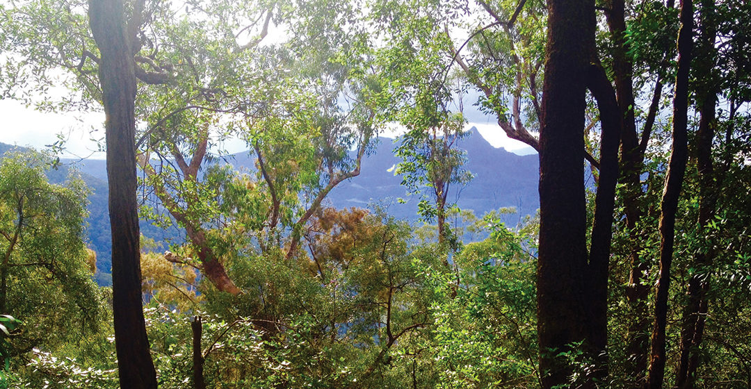 A cooler walk for the hottest time of year