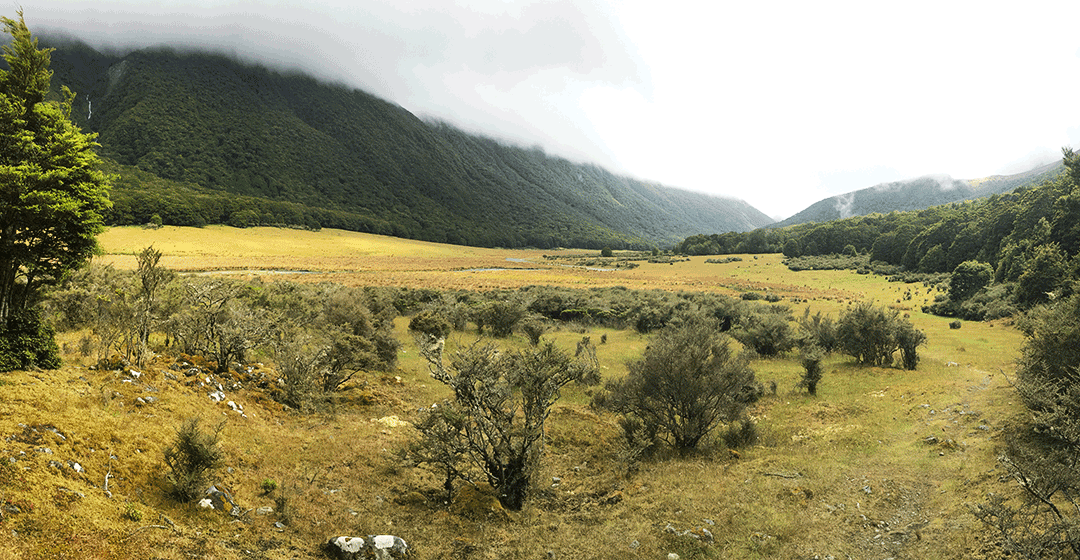 Greenstone Track New Zealand