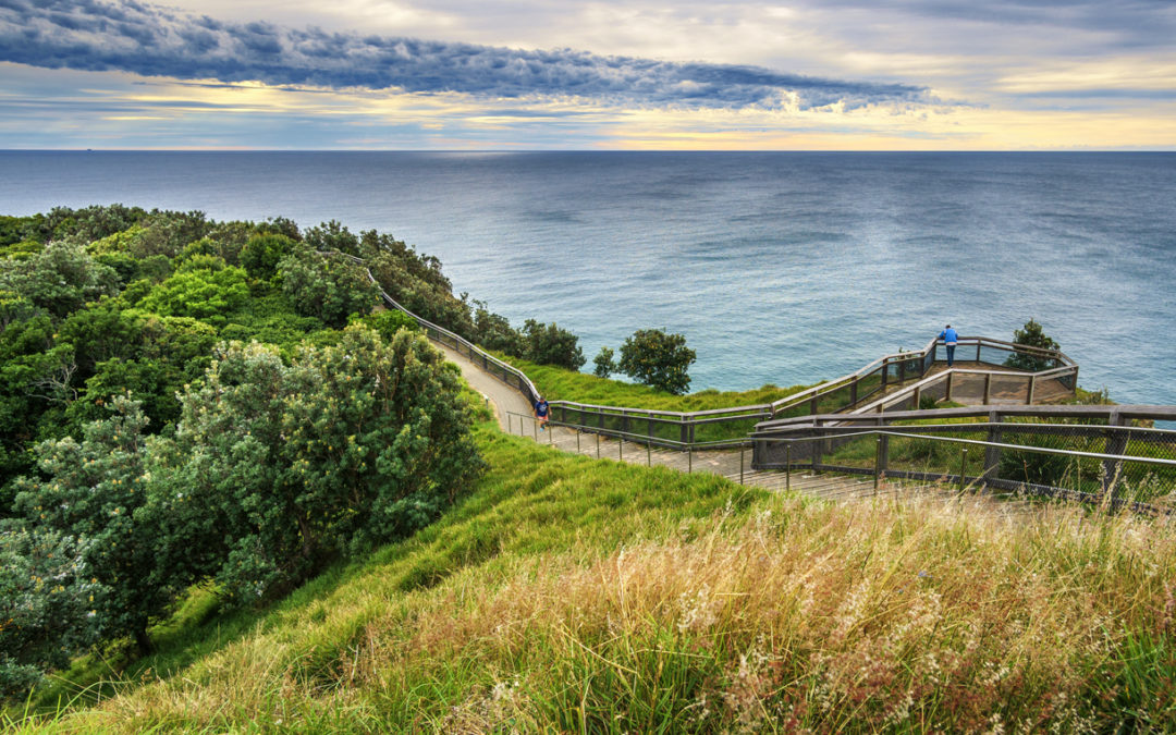 Find the best whale watching spots around Byron Bay